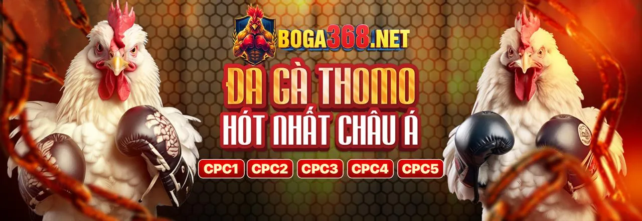 Đá Gà Trực Tuyến gasv88